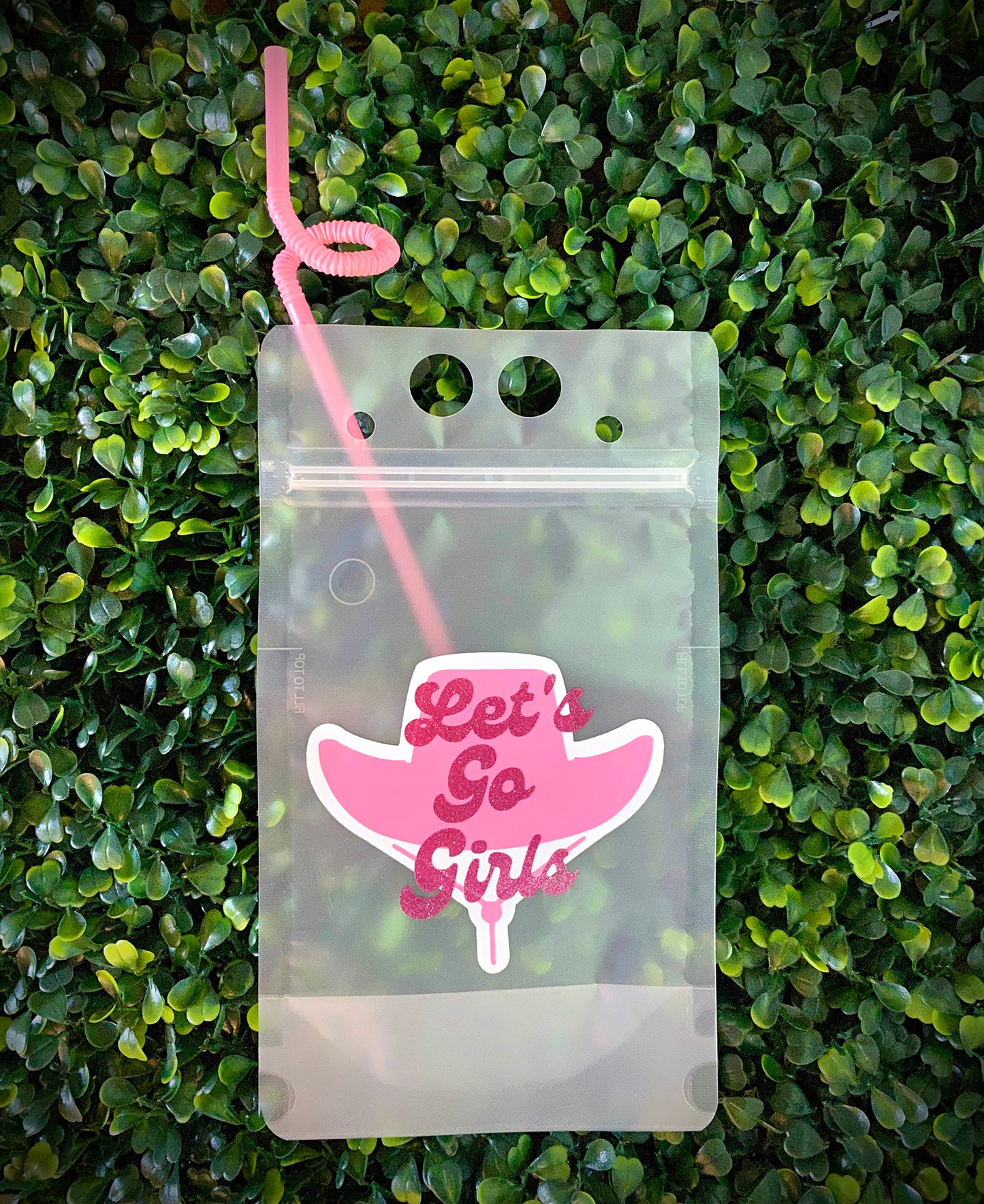 Let's Go Girls, GNO, Bacherlorette party, Girls Trip Adult Juice Pouch